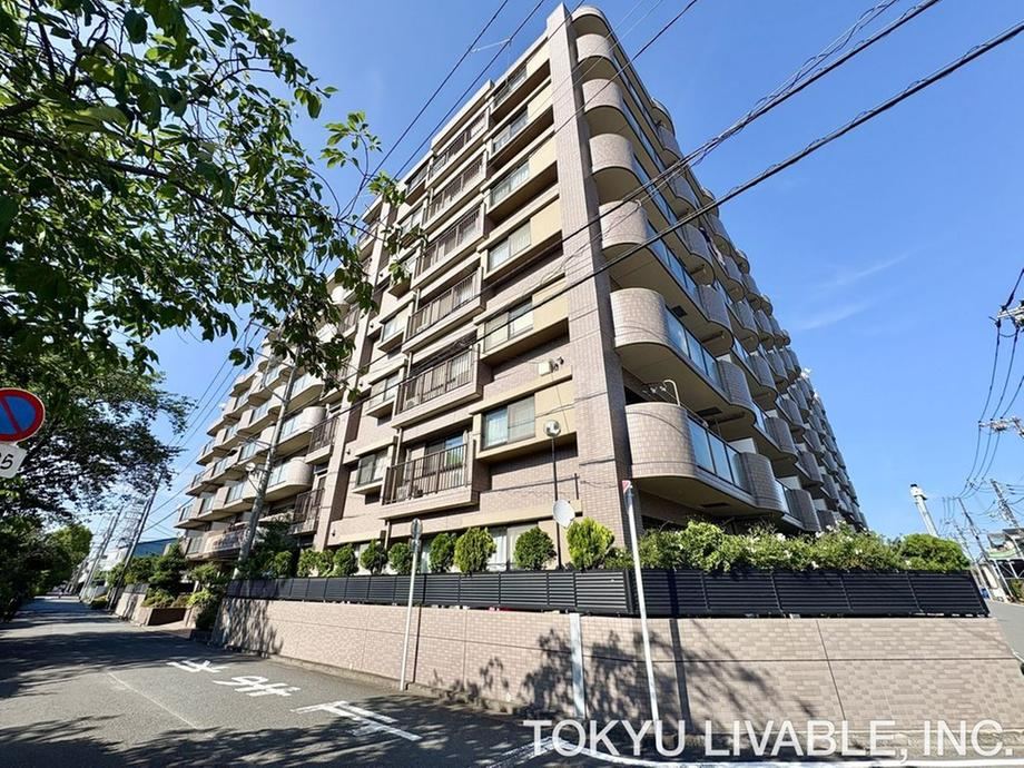 Property - Photo 1