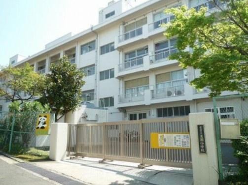 Property - Photo 1