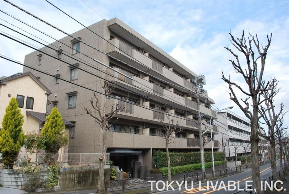 Property - Photo 1