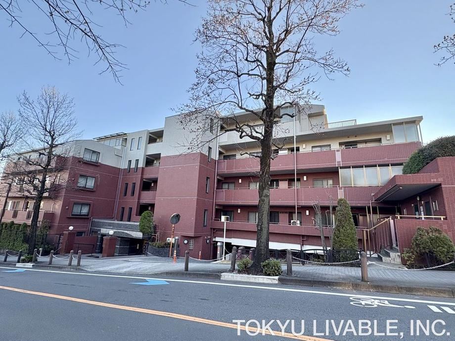 Property - Photo 1