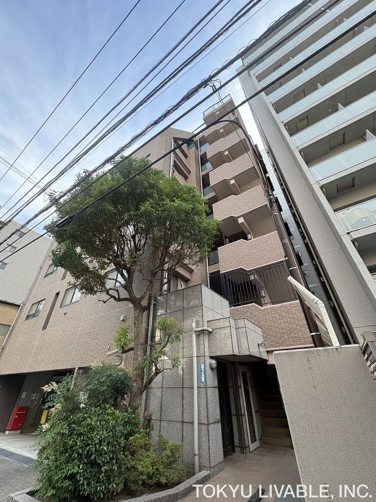 3LDK apartment in Saiwai Ward, Kawasaki, Kanagawa - Photo 1