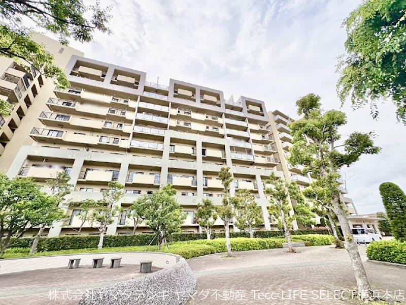 Property - Photo 1