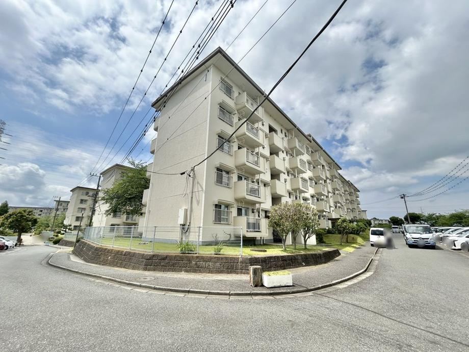Property - Photo 1