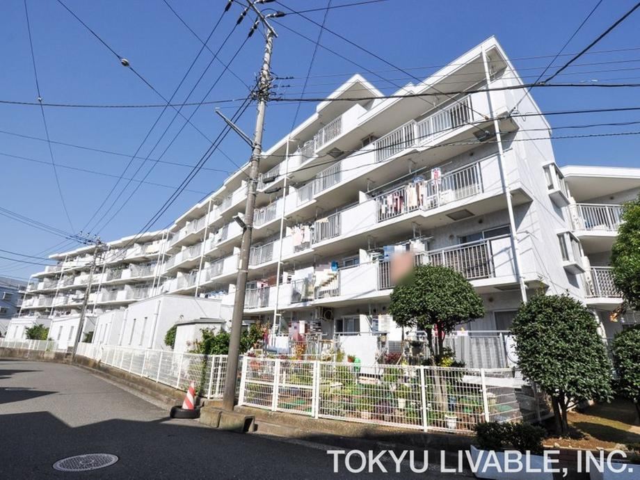 Property - Photo 1