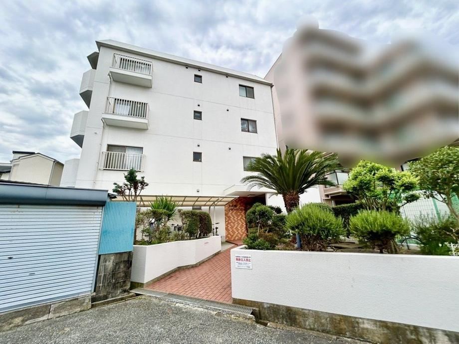 3DK apartment in Konan Ward, Yokohama, Kanagawa - Photo 1