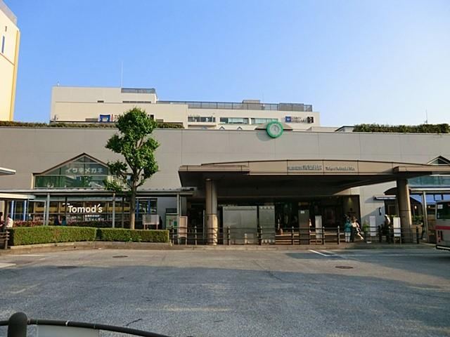 Property - Photo 1