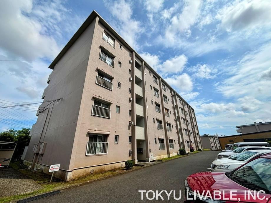 3DK apartment in Totsuka Ward, Yokohama, Kanagawa - Photo 1