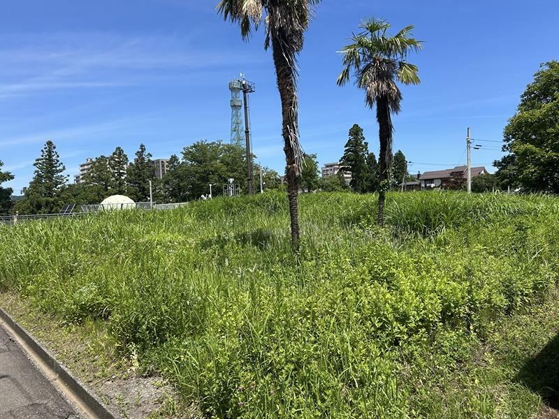 634 m² land in Joetsu, Niigata - Photo 1