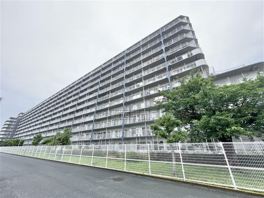 Property - Photo 1