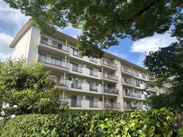 3LDK apartment in Tama Ward, Kawasaki, Kanagawa - Photo 1