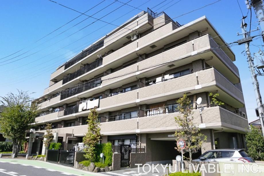 Property - Photo 1