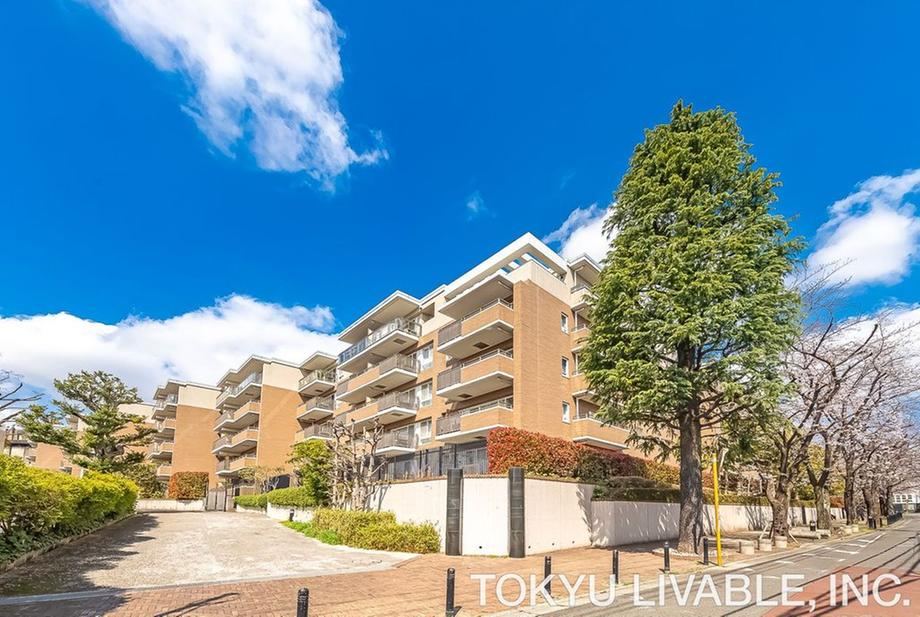 3LDK apartment in Setagaya Ward, Tokyo - Photo 1