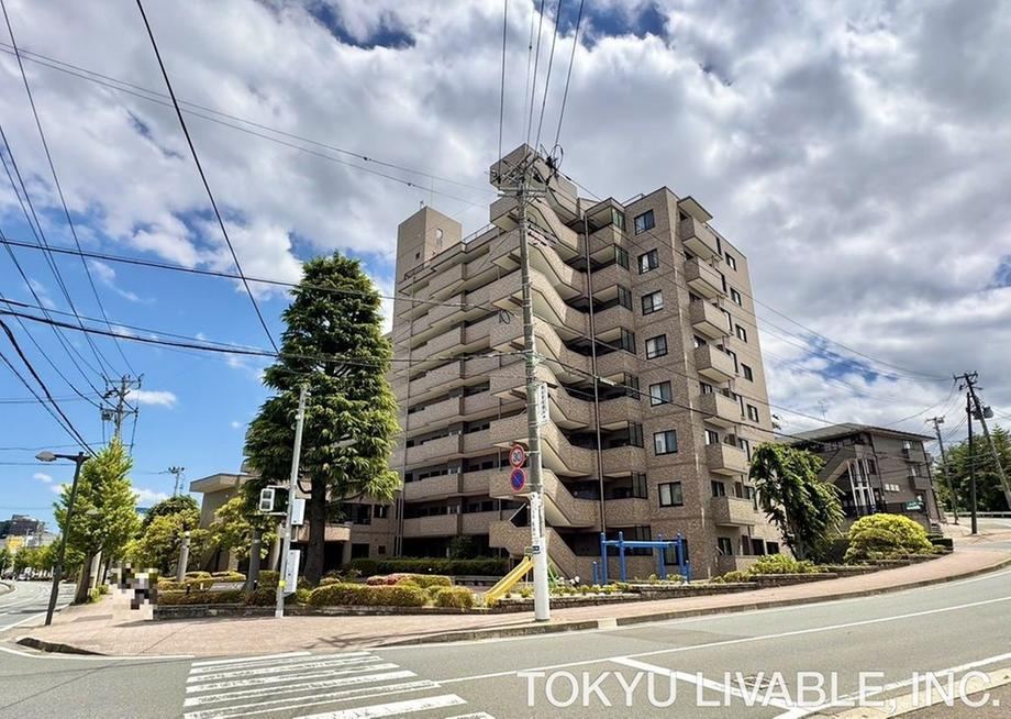 Property - Photo 1