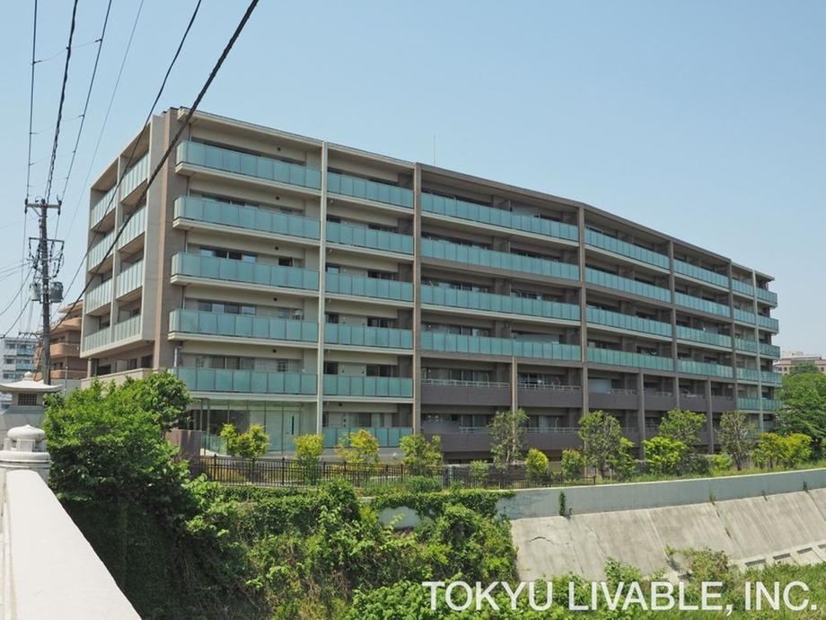 Property - Photo 1