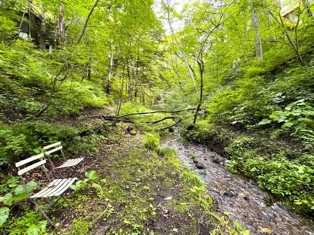 2634 m² land in Karuizawa, Kitasaku District, Nagano - Photo 1