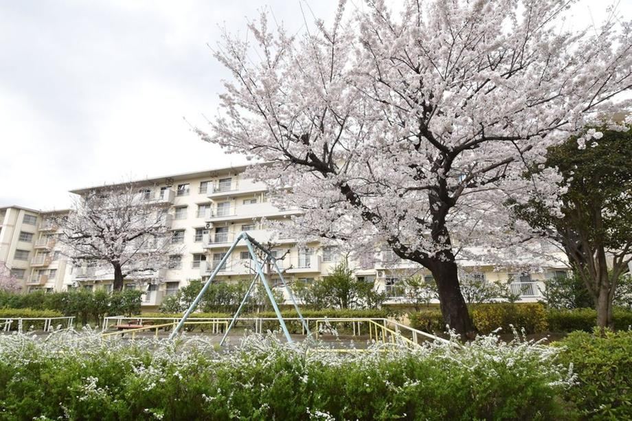 2LDK apartment in Soka, Saitama - Photo 1
