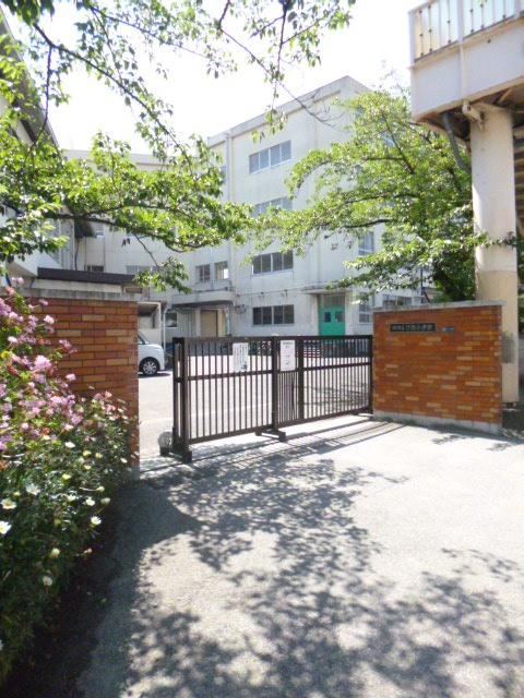 Thumbnail 4