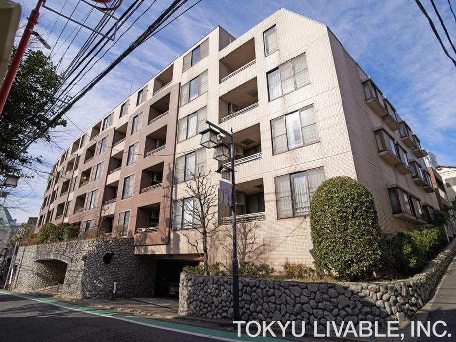 1LDK apartment in Shibuya Ward, Tokyo - Photo 1