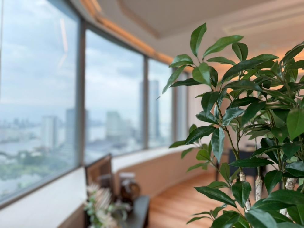3LDK apartment in Minato Ward, Tokyo - Photo 1