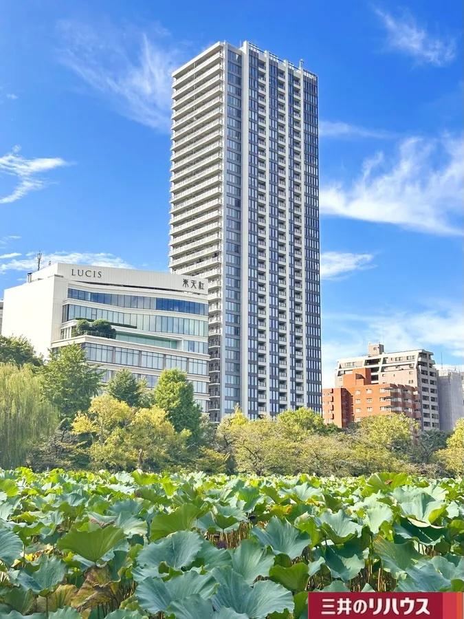 1LDK+S apartment in Taito Ward, Tokyo - Photo 1