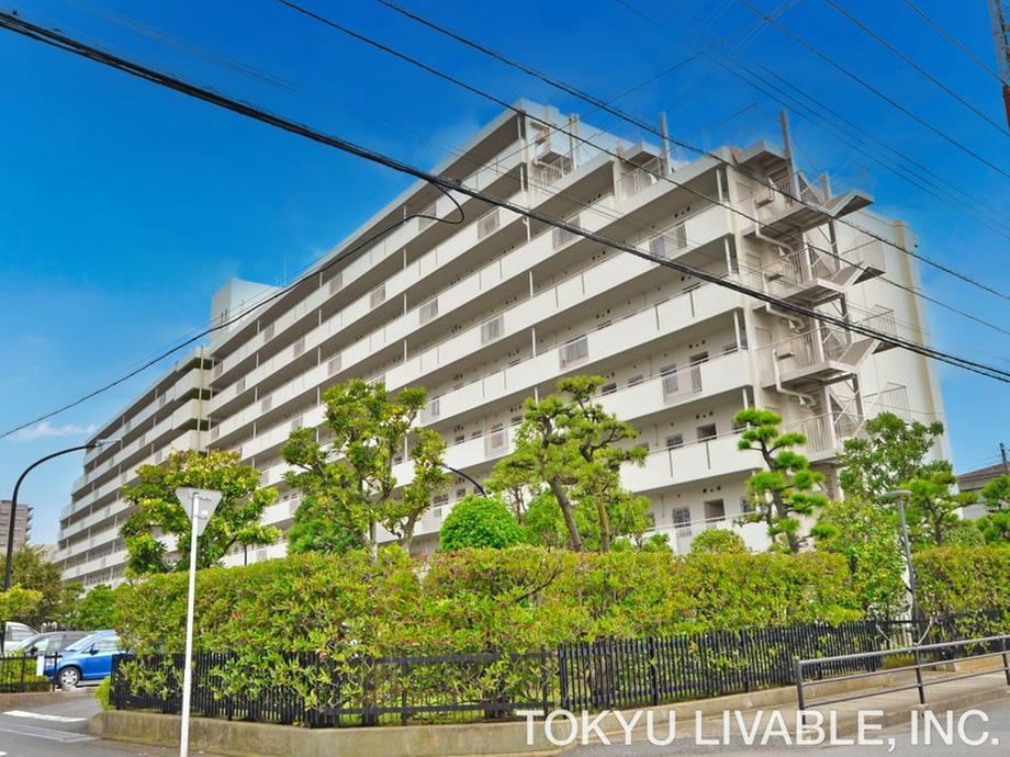 3LDK apartment in Ichikawa, Chiba - Photo 1