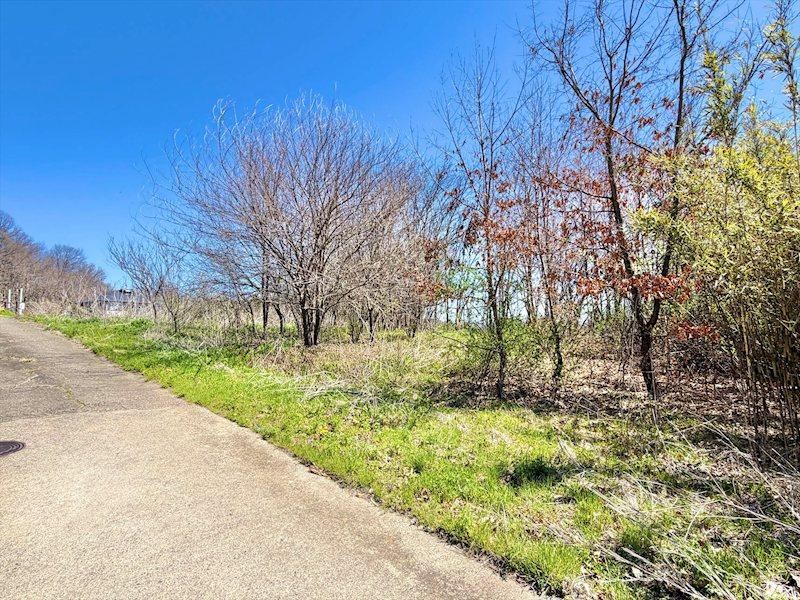 605 m² land in Saku, Nagano - Photo 1