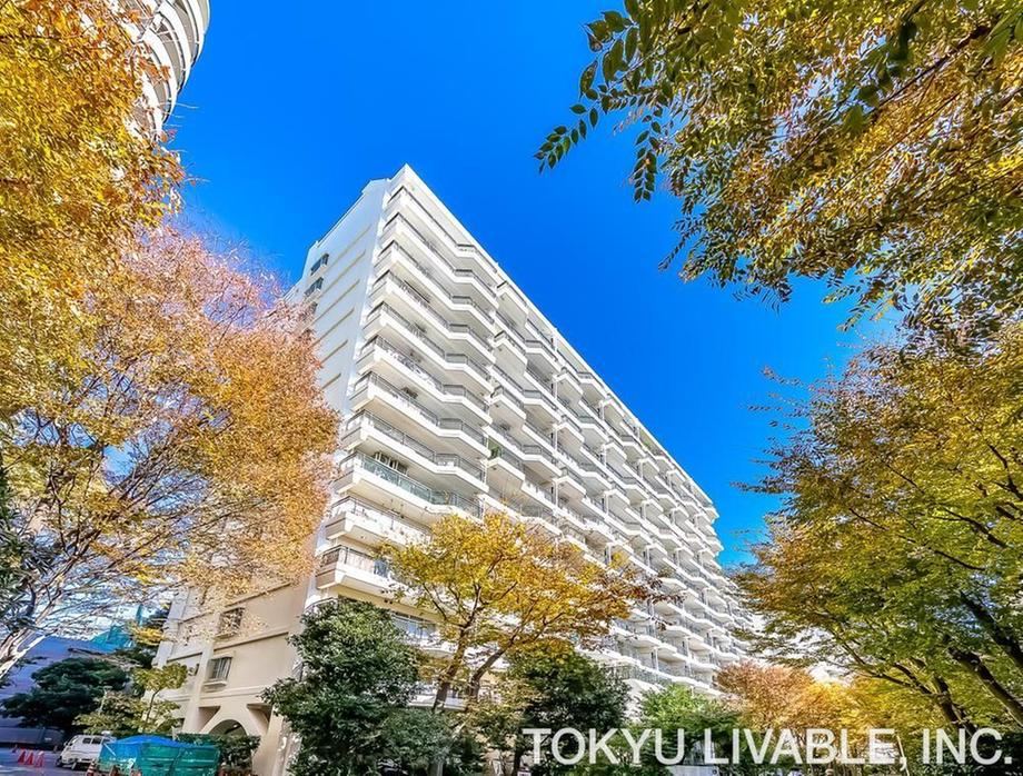 3LDK apartment in Takatsu Ward, Kawasaki, Kanagawa - Photo 1