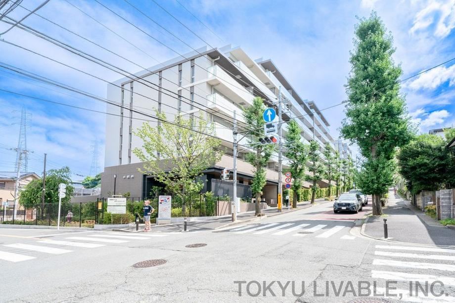 3LDK apartment in Miyamae Ward, Kawasaki, Kanagawa - Photo 1