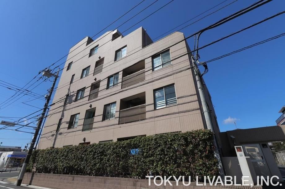 3LDK apartment in Kunitachi, Tokyo - Photo 1