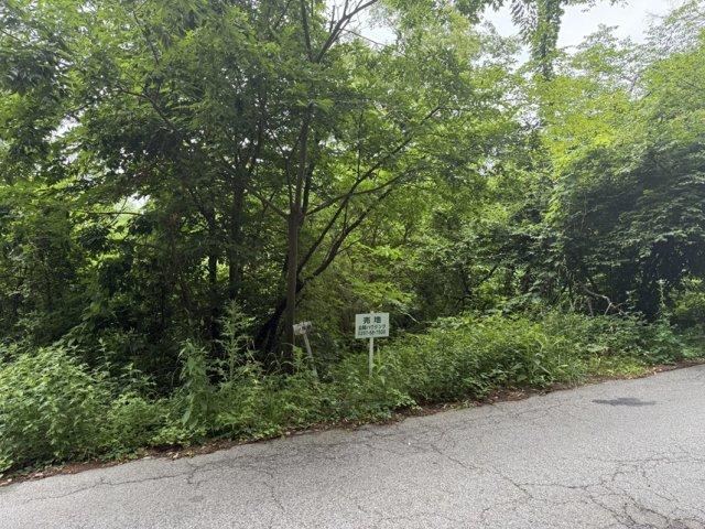 736 m² land in Saku, Nagano - Photo 1