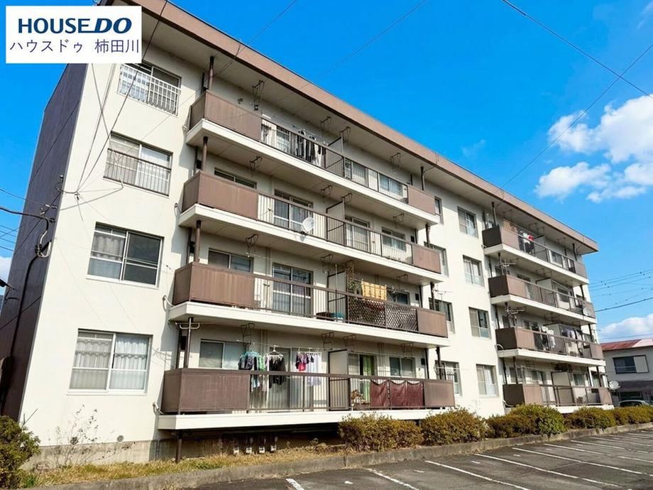 3DK apartment in Mishima, Shizuoka - Photo 1
