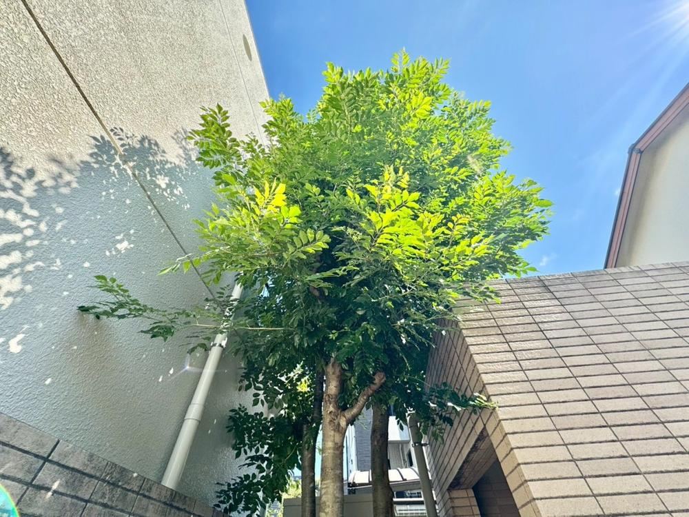 2LDK apartment in Nakano Ward, Tokyo - Photo 1