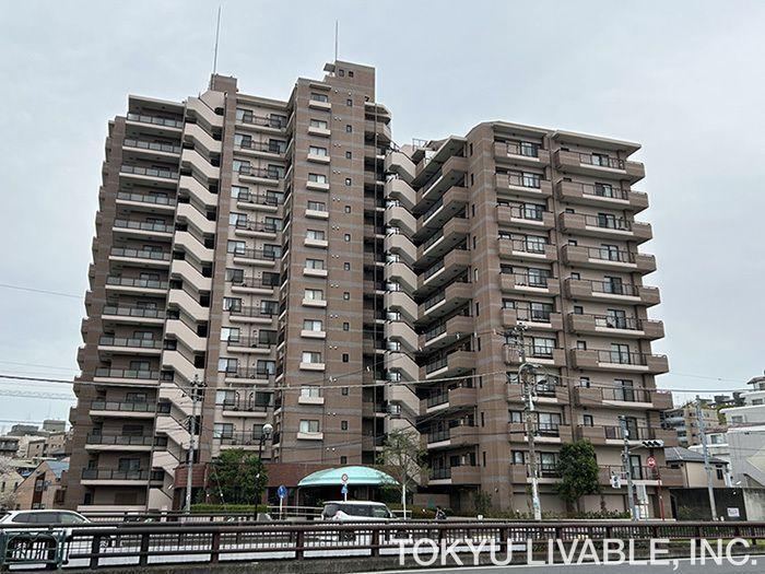 1LDK apartment in Tama, Tokyo - Photo 1