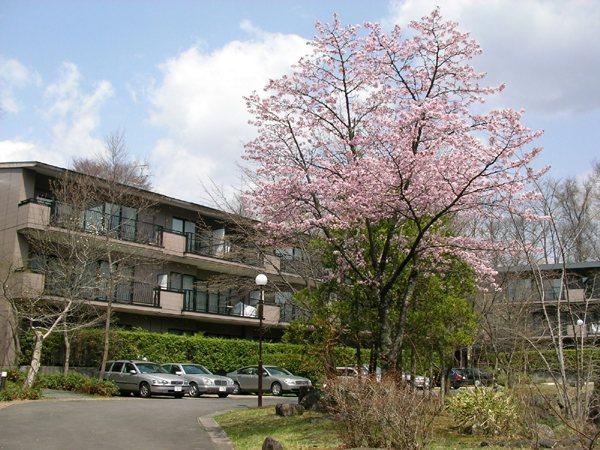 3LDK apartment in Karuizawa, Kitasaku District, Nagano - Photo 1