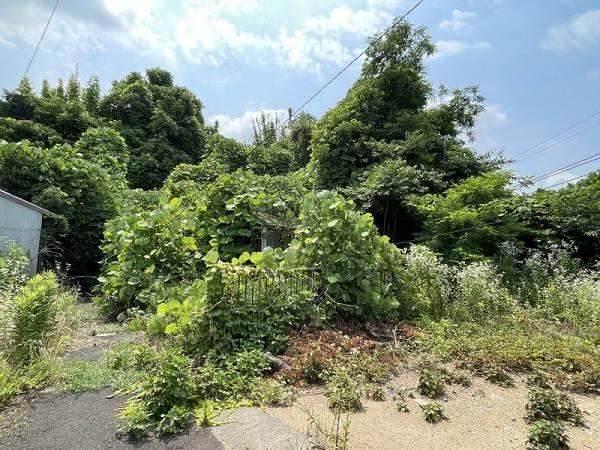 239 m² land in Minami Ward, Nagoya, Aichi - Photo 1