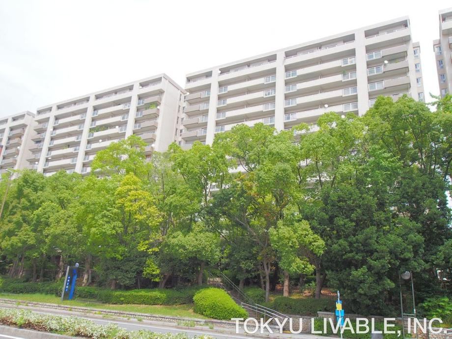 3LDK apartment in Chuo Ward, Kobe, Hyogo - Photo 1