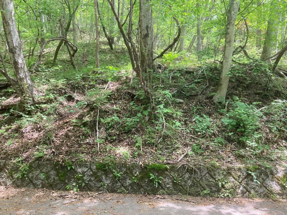 661 m² land in Karuizawa, Kitasaku District, Nagano - Photo 1