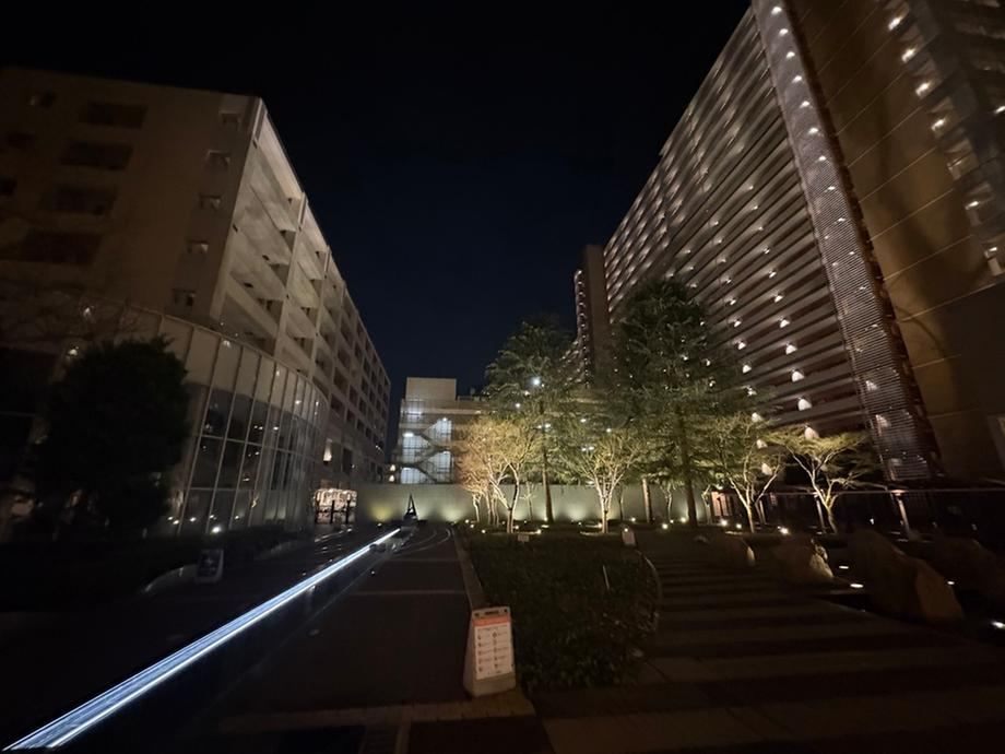 3LDK+S apartment in Koto Ward, Tokyo - Photo 1