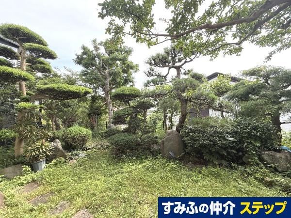 Property - Photo 1