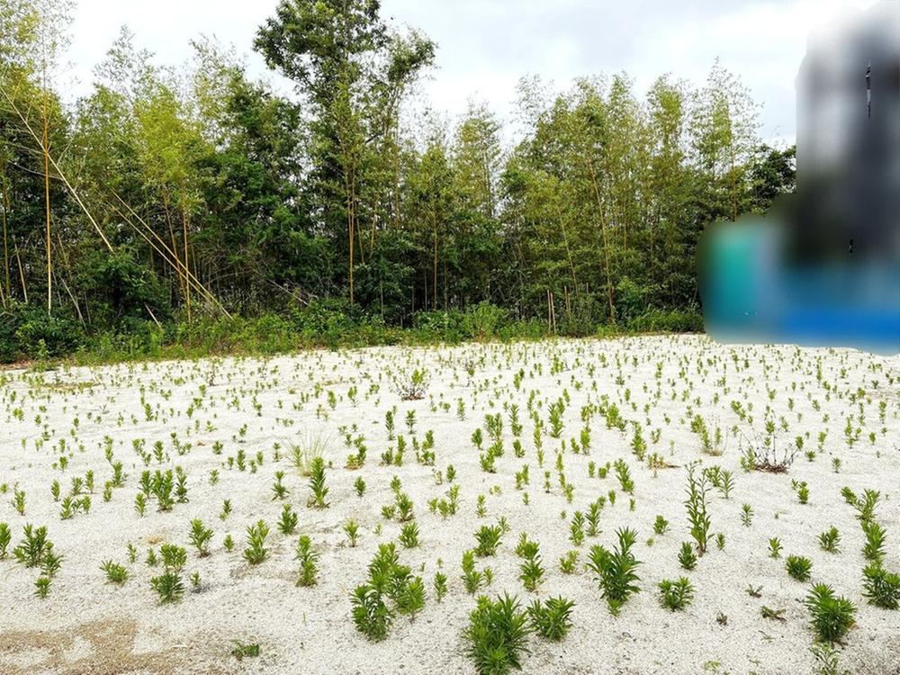 196 m² land in Iwaki, Fukushima - Photo 1