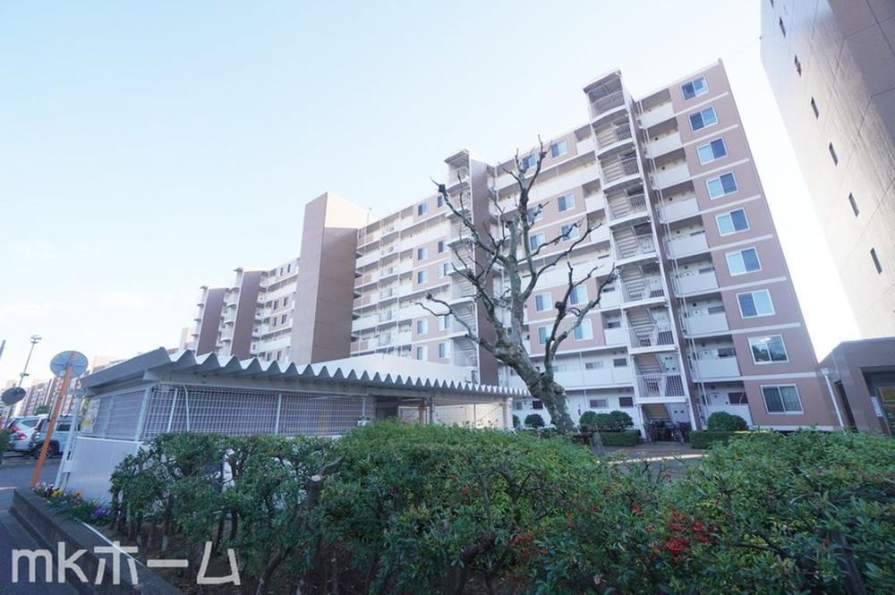 3LDK apartment in Matsudo, Chiba - Photo 1