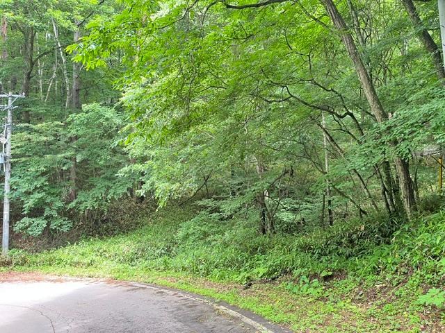 1397 m² land in Nagano, Nagano - Photo 1