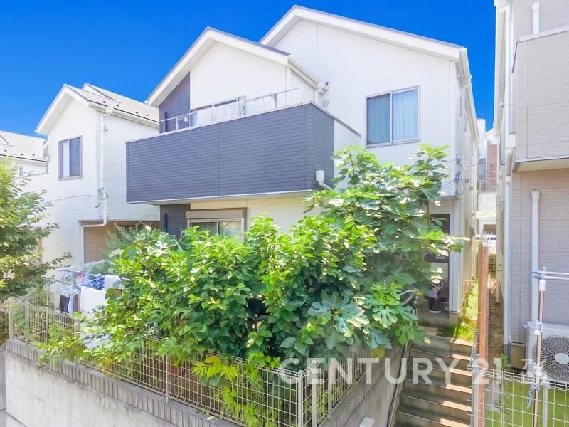 Property - Photo 1