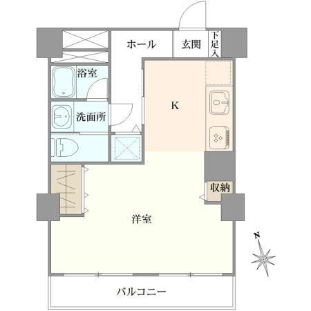 studio apartment in Shinjuku Ward, Tokyo - Photo 1