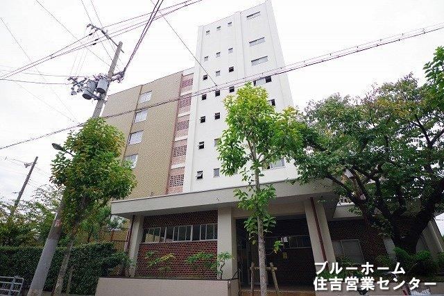 3DK apartment in Suminoe Ward, Osaka - Photo 1