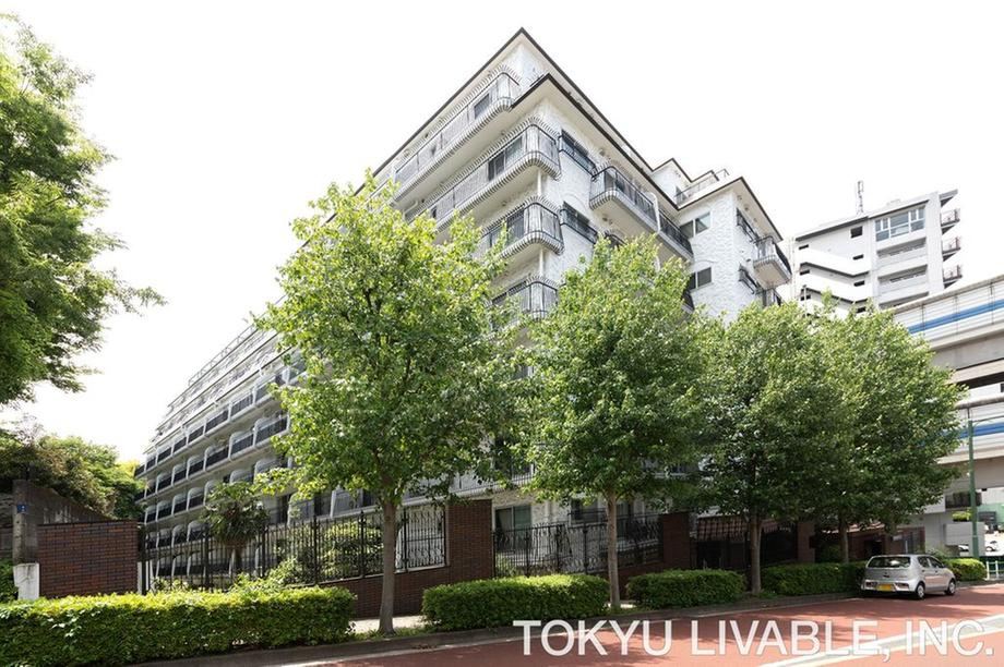 1LDK apartment in Minato Ward, Tokyo - Photo 1