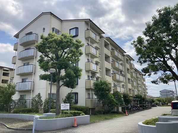 4LDK apartment in Ryugasaki, Ibaraki - Photo 1