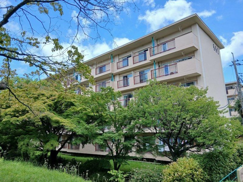 3DK apartment in Machida, Tokyo - Photo 1