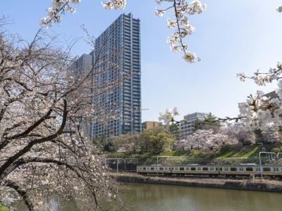 3LDK apartment in Chiyoda Ward, Tokyo - Photo 1