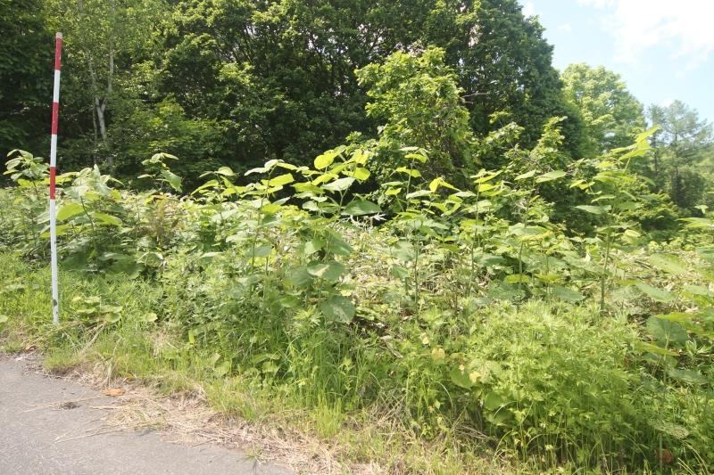 2875 m² land in Otaru, Hokkaido - Photo 1